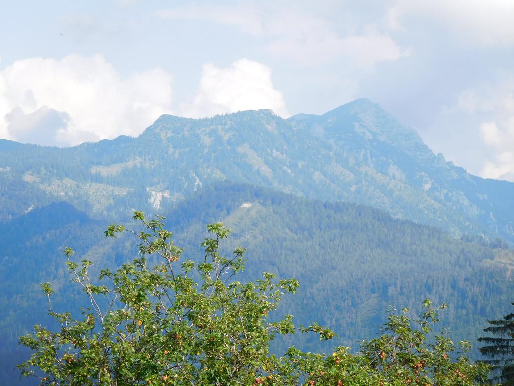 Urlaub Am Bauernhof Blamauer Koehr Göstling an der Ybbs Exterior foto