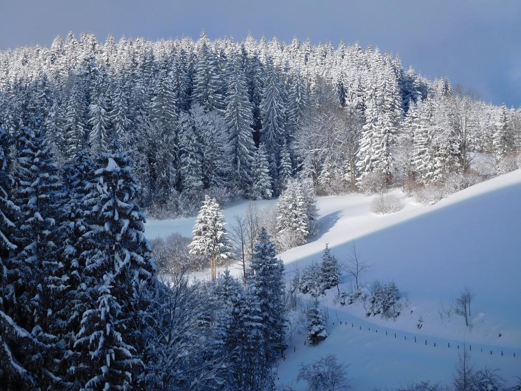 Urlaub Am Bauernhof Blamauer Koehr Göstling an der Ybbs Exterior foto