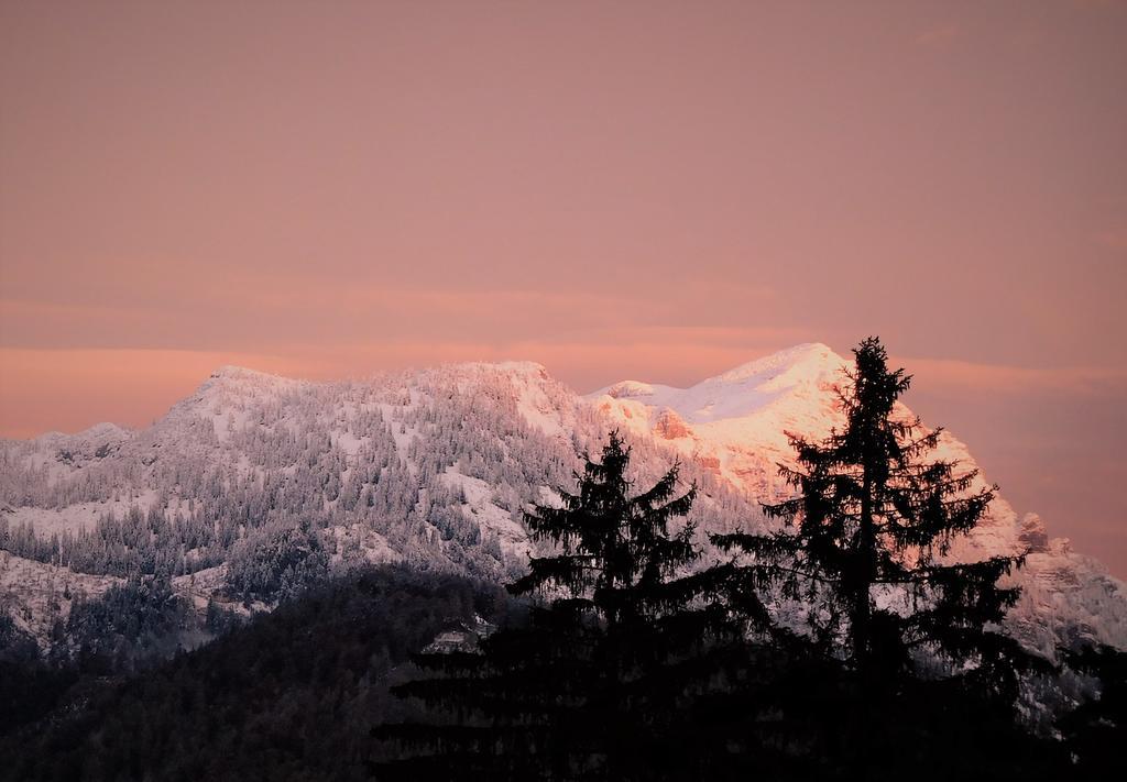 Urlaub Am Bauernhof Blamauer Koehr Göstling an der Ybbs Exterior foto